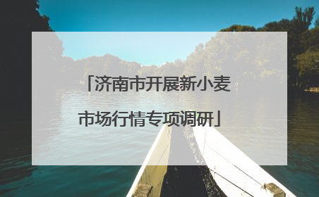 济南市开展新小麦市场行情专项调研
