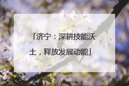 济宁：深耕技能沃土，释放发展动能