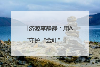 济源李静静：用AI守护“金叶”
