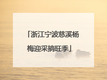 浙江宁波慈溪杨梅迎采摘旺季