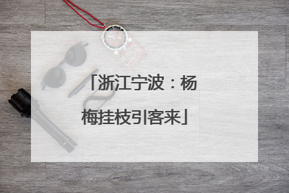浙江宁波：杨梅挂枝引客来