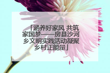 涵养好家风 共筑家国梦——房县沙河乡文明实践活动凝聚乡村正能量