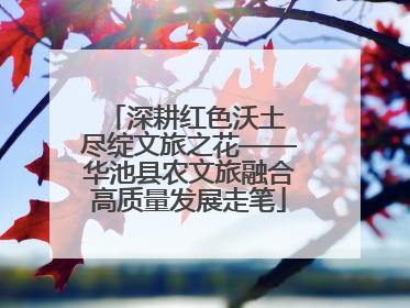 深耕红色沃土 尽绽文旅之花——华池县农文旅融合高质量发展走笔