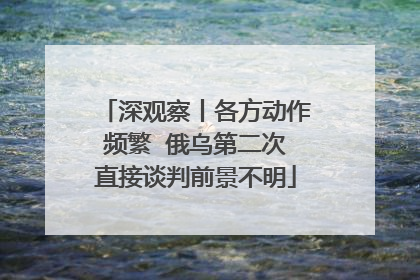 深观察丨各方动作频繁  俄乌第二次直接谈判前景不明