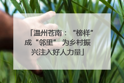 温州苍南：“榜样”成“邻里” 为乡村振兴注入好人力量