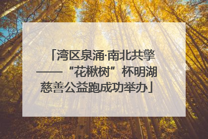 湾区泉涌·南北共擎——“花楸树”杯明湖慈善公益跑成功举办