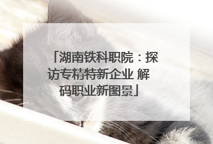 湖南铁科职院：探访专精特新企业 解码职业新图景