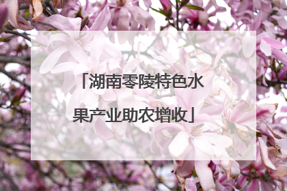 湖南零陵特色水果产业助农增收