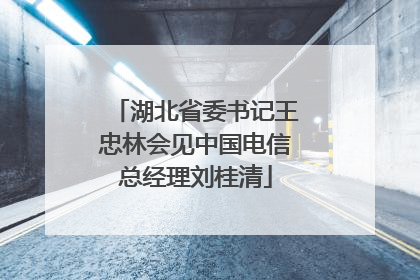 湖北省委书记王忠林会见中国电信总经理刘桂清