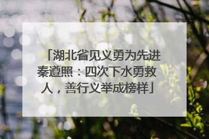 湖北省见义勇为先进秦遵照：四次下水勇救人，善行义举成榜样