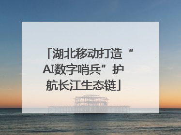 湖北移动打造“AI数字哨兵”护航长江生态链