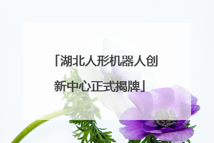湖北人形机器人创新中心正式揭牌