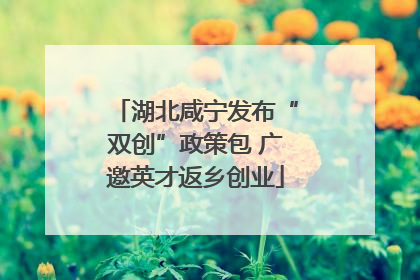 湖北咸宁发布“双创”政策包 广邀英才返乡创业