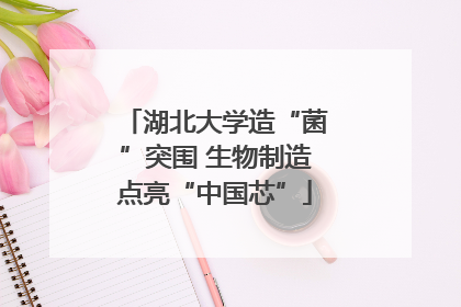 湖北大学造“菌”突围 生物制造点亮“中国芯”