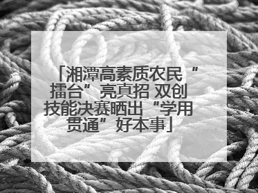 湘潭高素质农民“擂台”亮真招 双创技能决赛晒出“学用贯通”好本事