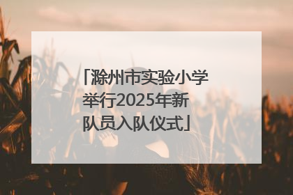 滁州市实验小学举行2025年新队员入队仪式