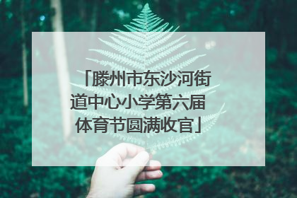 滕州市东沙河街道中心小学第六届体育节圆满收官
