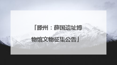 滕州：薛国遗址博物馆文物征集公告