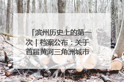 滨州历史上的第一次｜档案公布：关于首届黄河三角洲城市经济博览会暨发展论坛情况的总结报告