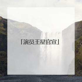 演员王星官宣