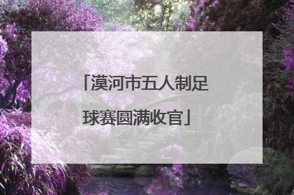漠河市五人制足球赛圆满收官
