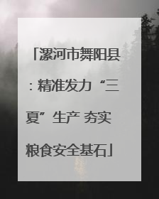 漯河市舞阳县：精准发力“三夏”生产 夯实粮食安全基石