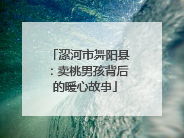 漯河市舞阳县：卖桃男孩背后的暖心故事