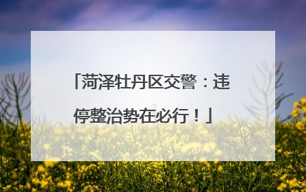 菏泽牡丹区交警：违停整治势在必行！
