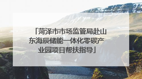 菏泽市市场监管局赴山东海辰储能一体化零碳产业园项目帮扶指导
