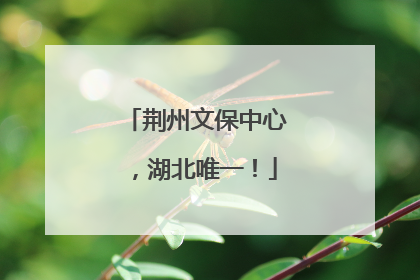 荆州文保中心，湖北唯一！