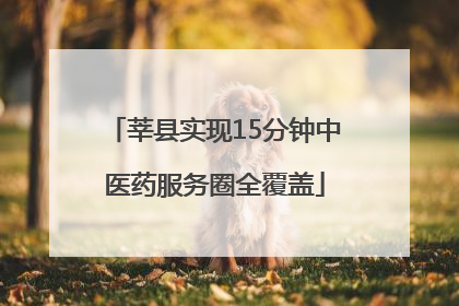 莘县实现15分钟中医药服务圈全覆盖