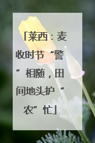 莱西：麦收时节“警”相随，田间地头护“农”忙