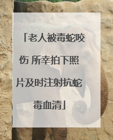 老人被毒蛇咬伤 所幸拍下照片及时注射抗蛇毒血清