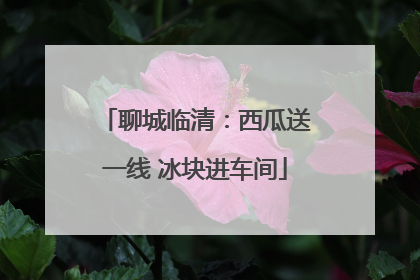 聊城临清：西瓜送一线 冰块进车间