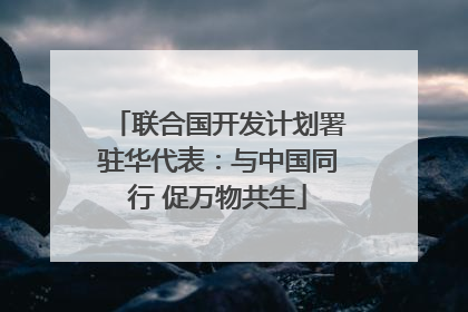 联合国开发计划署驻华代表：与中国同行 促万物共生