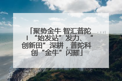 聚势金牛 智汇普陀〡“始发站”发力、“创新田”深耕，普陀科创“金牛”闪耀