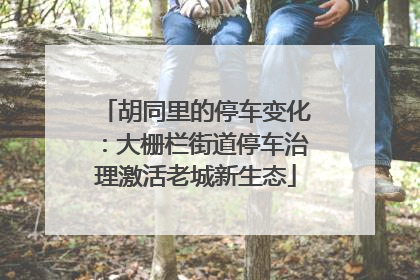 胡同里的停车变化：大栅栏街道停车治理激活老城新生态