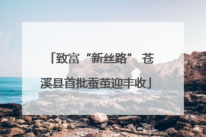 致富“新丝路” 苍溪县首批蚕茧迎丰收