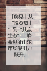 舆见丨从“投资热土”到“共赢生态”：峰会见证山东市场吸引力跃升