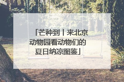 芒种到丨来北京动物园看动物们的夏日纳凉图鉴