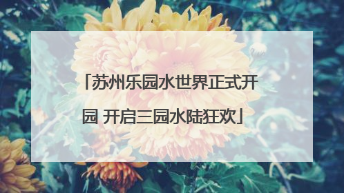 苏州乐园水世界正式开园 开启三园水陆狂欢