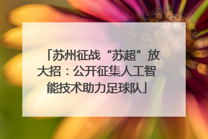 苏州征战“苏超”放大招：公开征集人工智能技术助力足球队