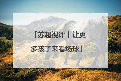 苏超视评︱让更多孩子来看场球