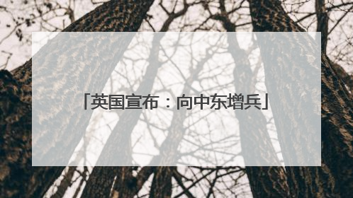 英国宣布：向中东增兵