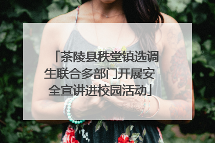 茶陵县秩堂镇选调生联合多部门开展安全宣讲进校园活动