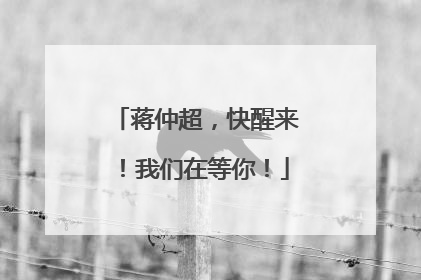 蒋仲超，快醒来！我们在等你！