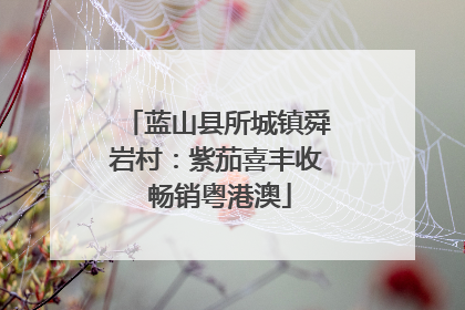 蓝山县所城镇舜岩村：紫茄喜丰收 畅销粤港澳