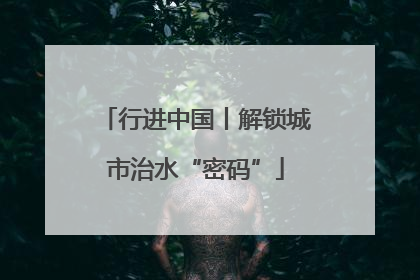 行进中国丨解锁城市治水“密码”