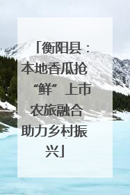 衡阳县：本地香瓜抢“鲜”上市 农旅融合助力乡村振兴