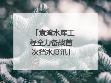 袁湾水库工程全力备战首次挡水度汛